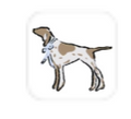 Southern Dog Needle Minder
