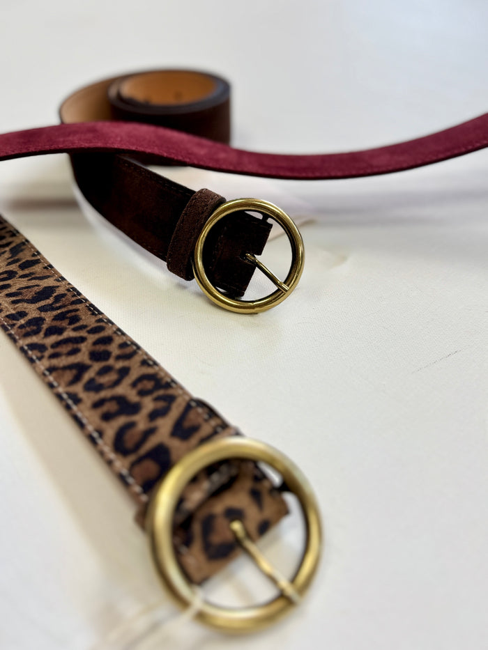 The Essential Belt