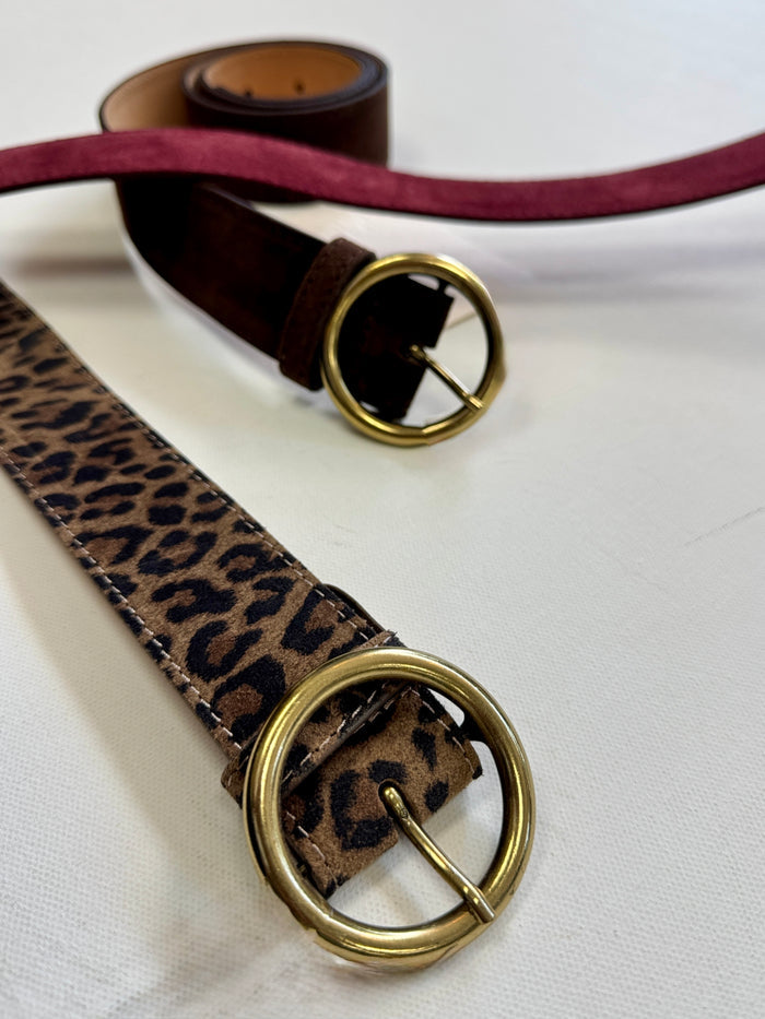 The Essential Belt
