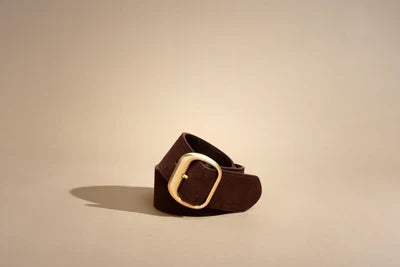 The Salerno Belt