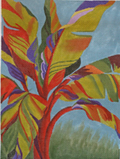 Tropical Plant
