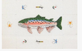 Trout Brick