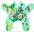 Tulip Frog-Large