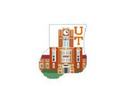 University Tennessee Mini Sock