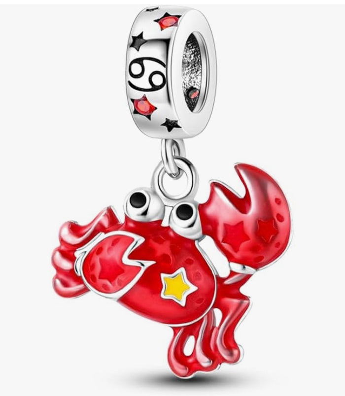 Zodiac Charms