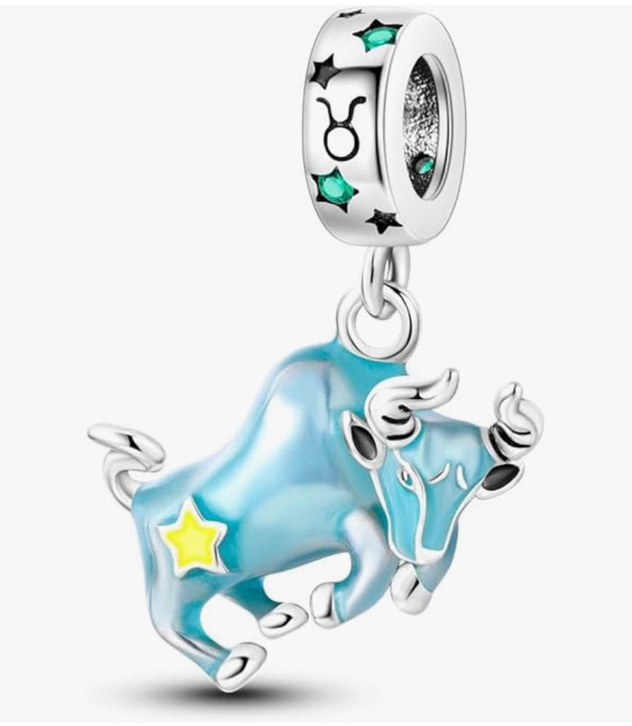 Zodiac Charms