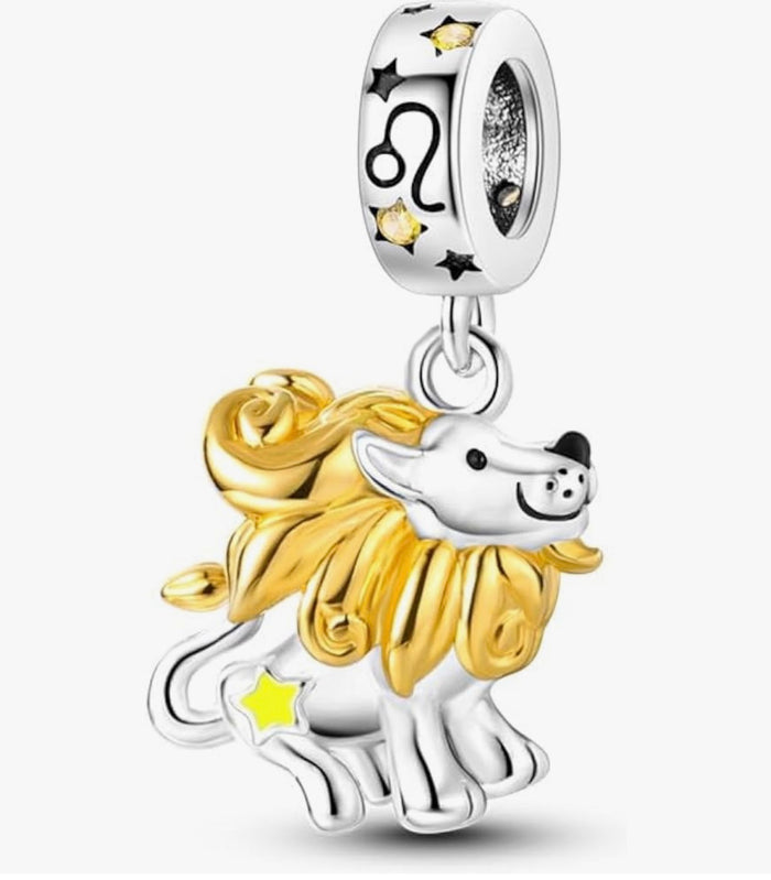 Zodiac Charms